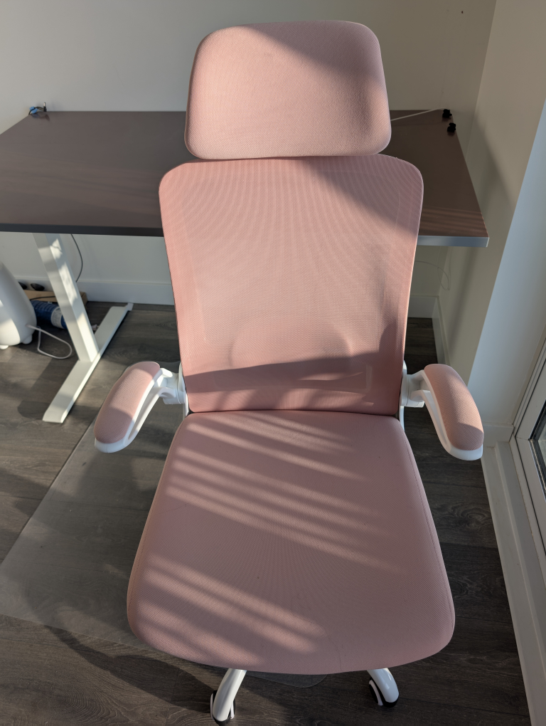 Pink Ergonomic Office Chair
