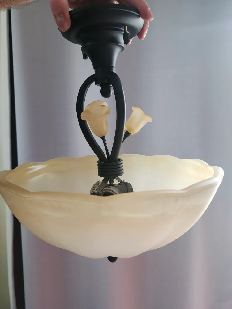 Hanging Ceiling Light Fixture thumbnail