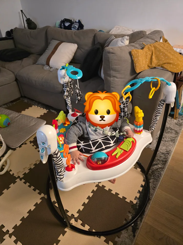 Fisher-Price Jumperoo image indicator(2)