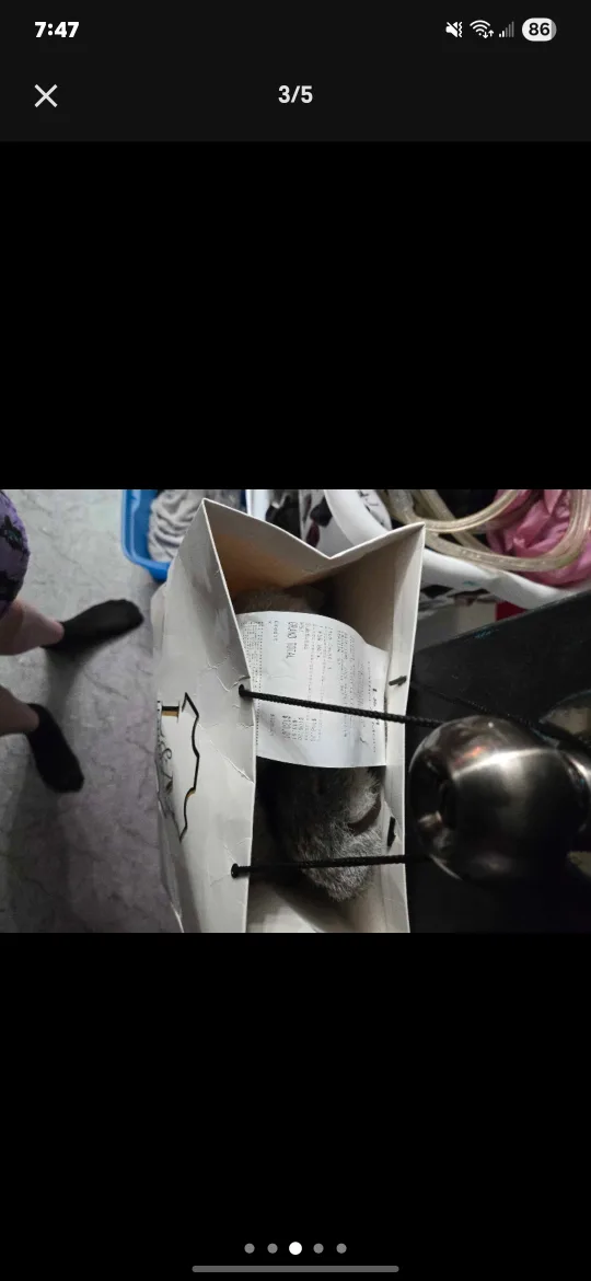 L&M Leather & More Fur Trapper Hat image indicator(3)