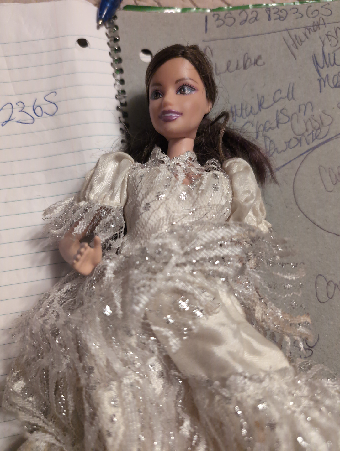 Dollhouse with Dolls and Accessories