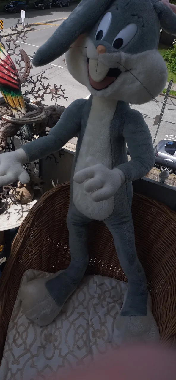 Large Bugs Bunny Plush Toy image indicator(3)