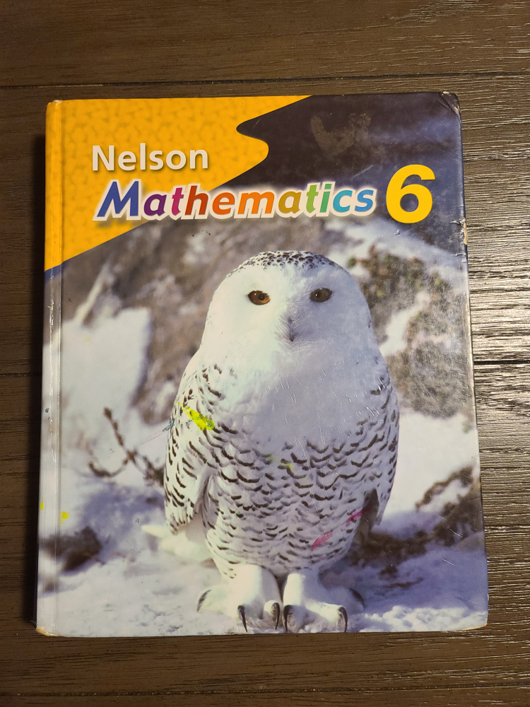 Nelson Mathematics 6 textbook