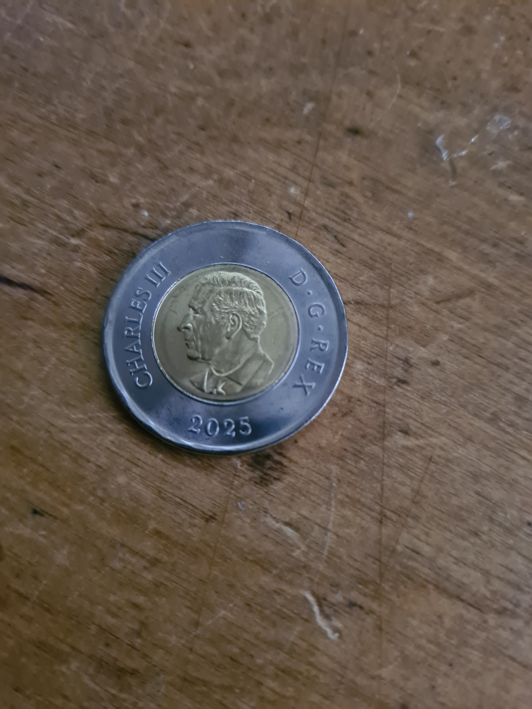 Daphne Odjig Canada 2 Dollar Coin - photo 2