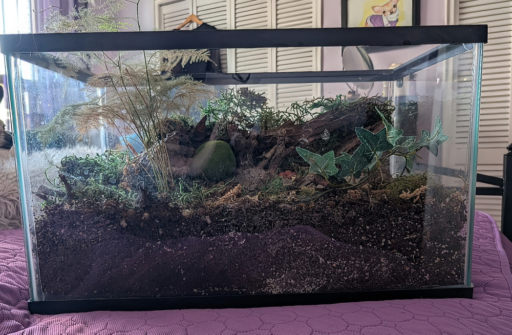 Terrarium with plants and moss