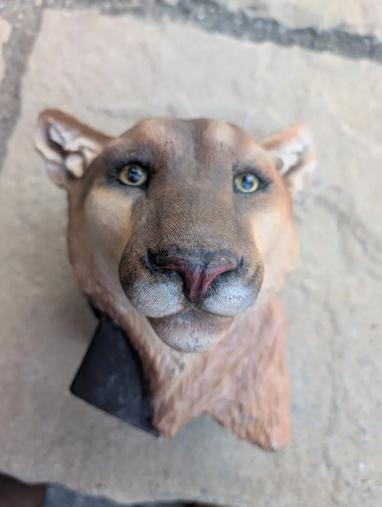 Cougar Head Sculpture thumbnail