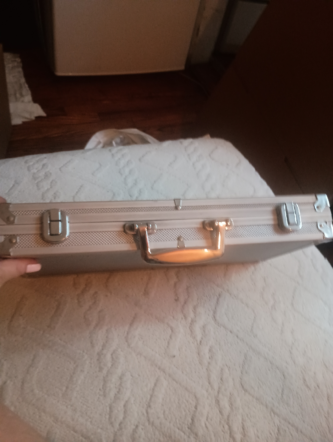 Silver Aluminum Carrying Case