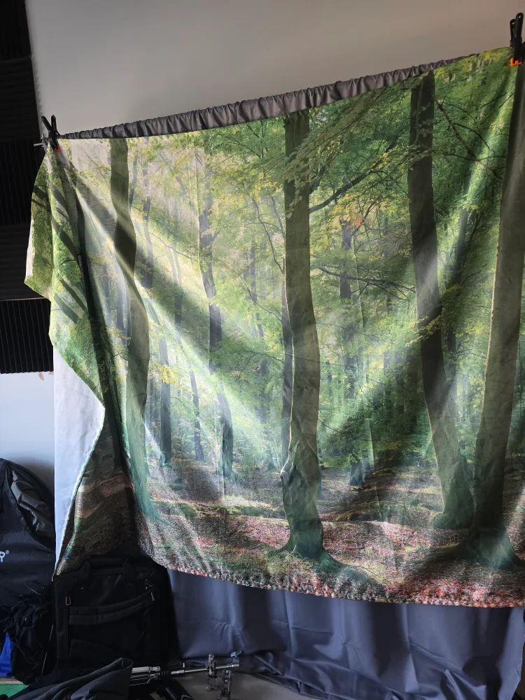 forest backdrop image indicator(2)