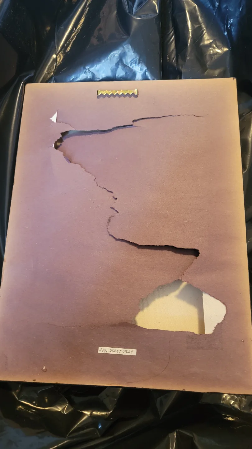 D.Carney Floral Canvas Wall Art image indicator(2)