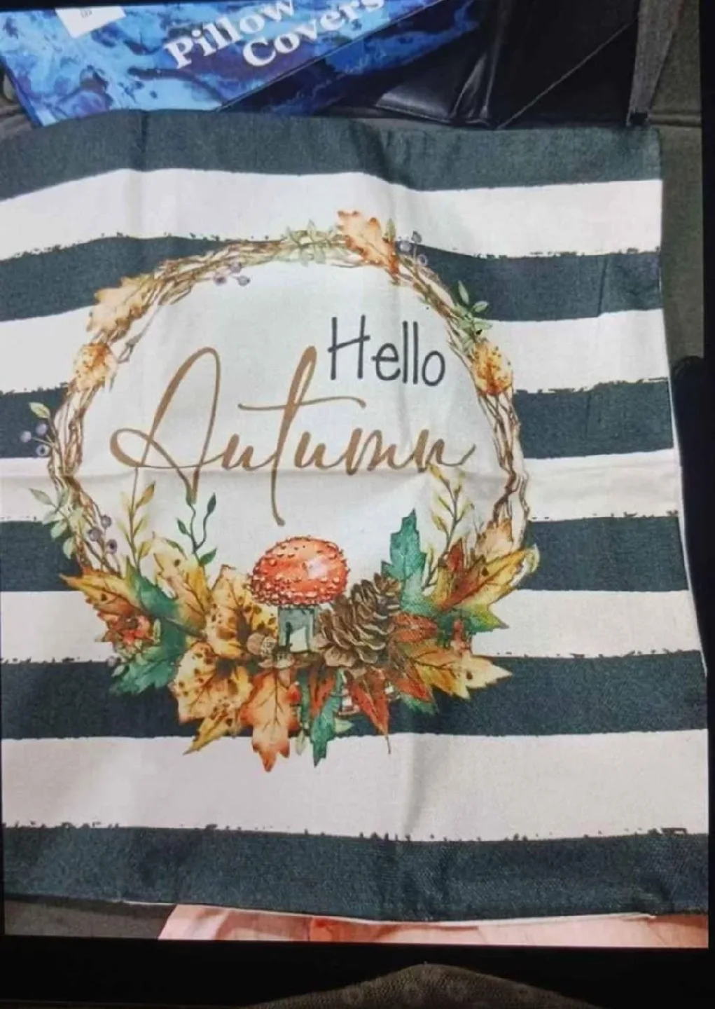 Fall Themed Pillow Covers image indicator(3)