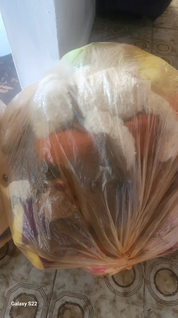 dolls image indicator(2)