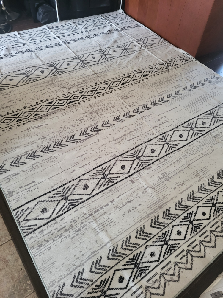 8ft X 10ft Area rug (Brand new) - photo 2