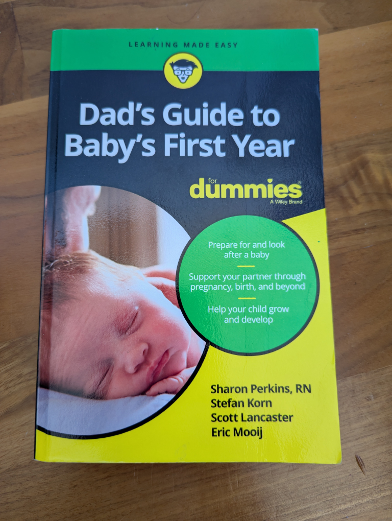 free book: Dad's Guide to Baby's First Year