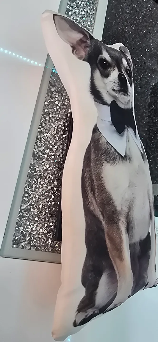Chihuahua Pillow image indicator(3)