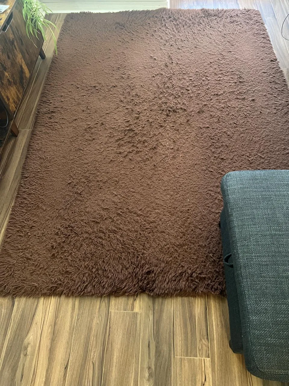 Brown Shag Rug