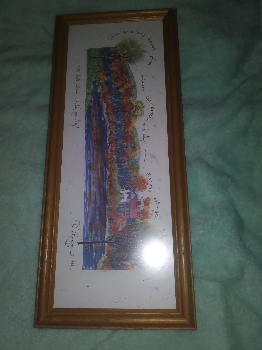 Framed D. Morgan Cottage Print