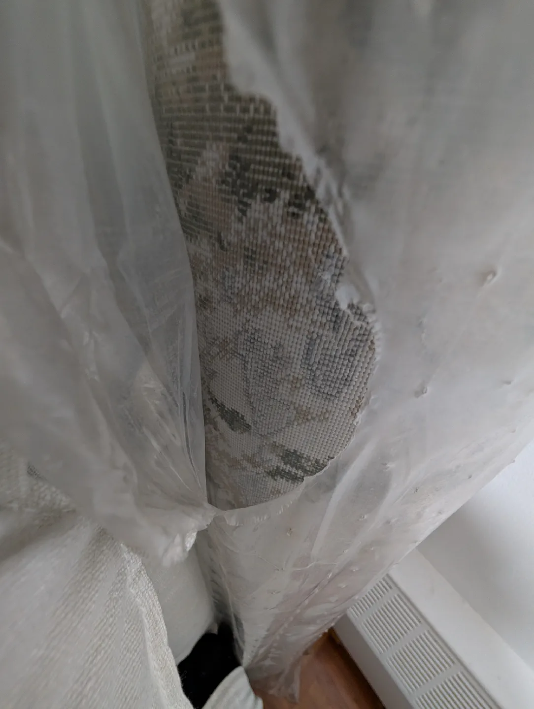 BRAND NEW area rug Renwil Rug Art Area Rug 7.87x10.17 ft image indicator(5)