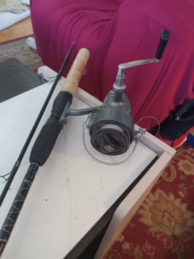 Daiwa Fishing Reel and Rod Combo