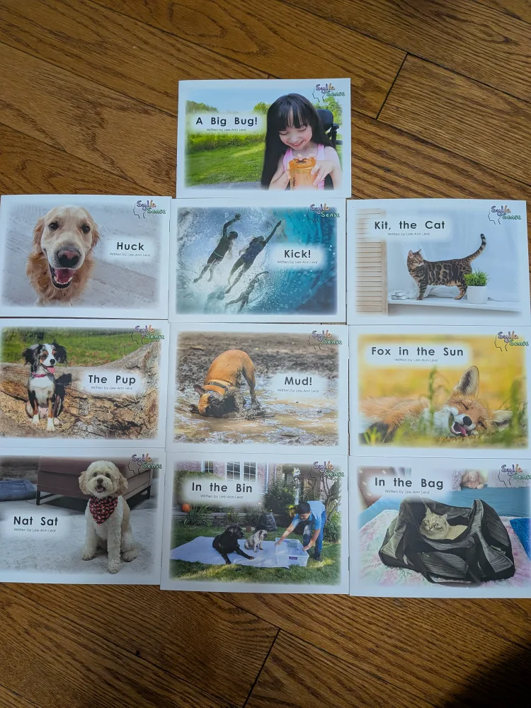 Sylla Sense Reading Books - Set of 10 🥕 thumbnail