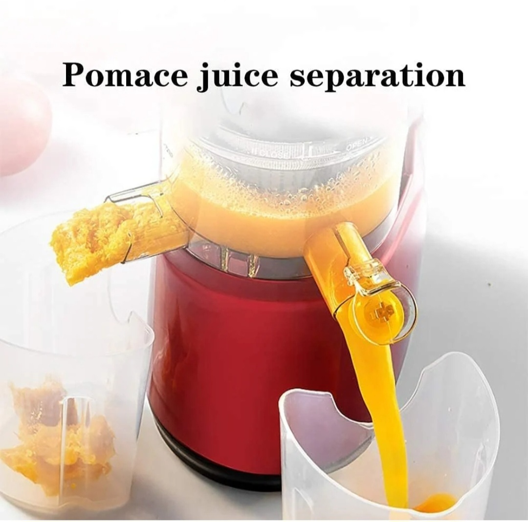 Masticating Juicer Model WJE-F18 - photo 3