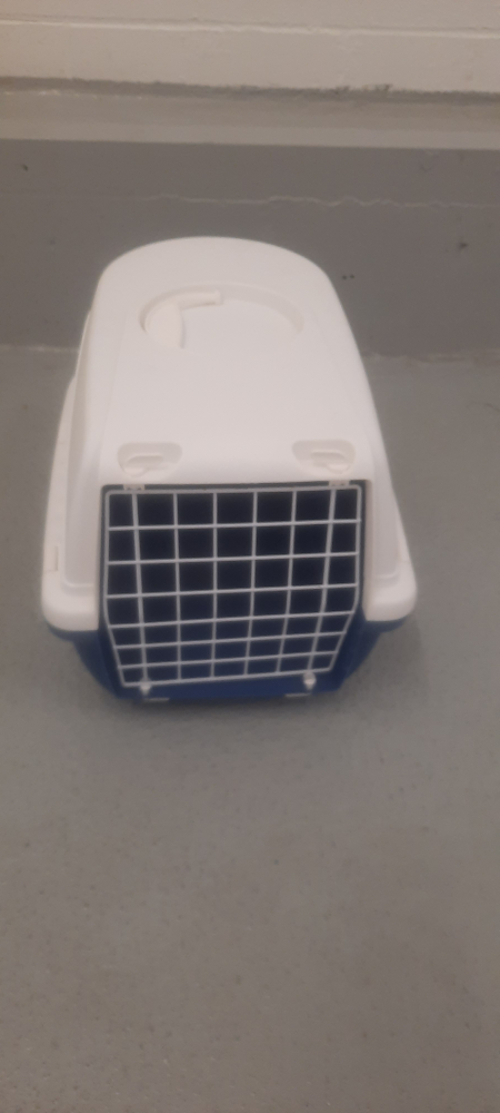 Pet Carrier - White and Blue