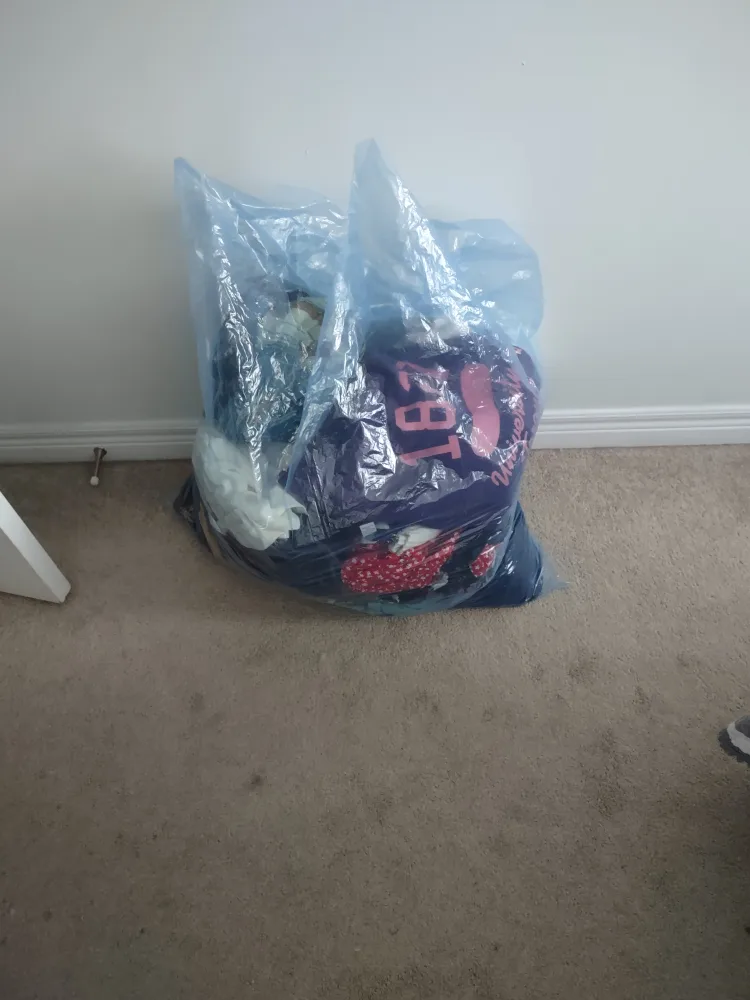 bag of women's clothes image indicator(2)