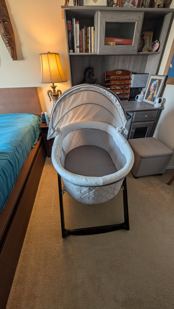 Bassinet with Canopy