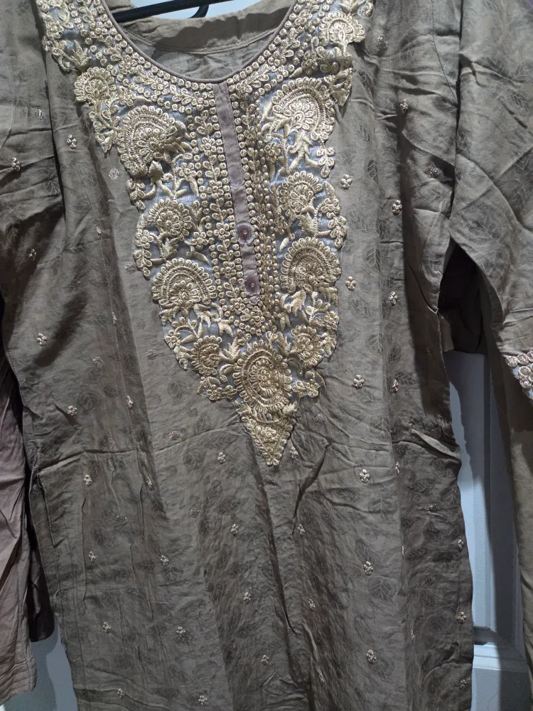 Salwar Kameez Suit - 3 pc image indicator(2)