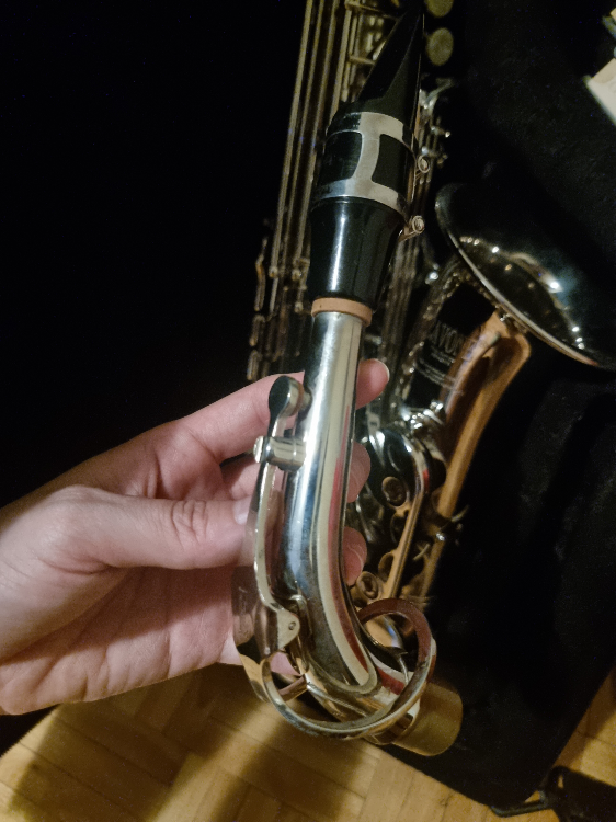Eavone Pop Series ESA-2500 Saxophone - photo 4