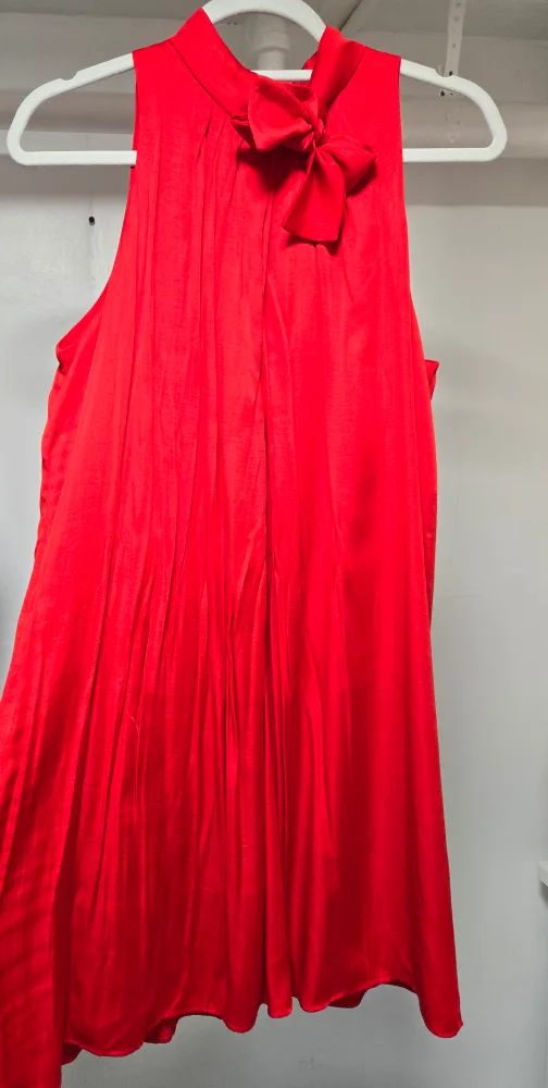 Red Sleeveless Dress image indicator(2)