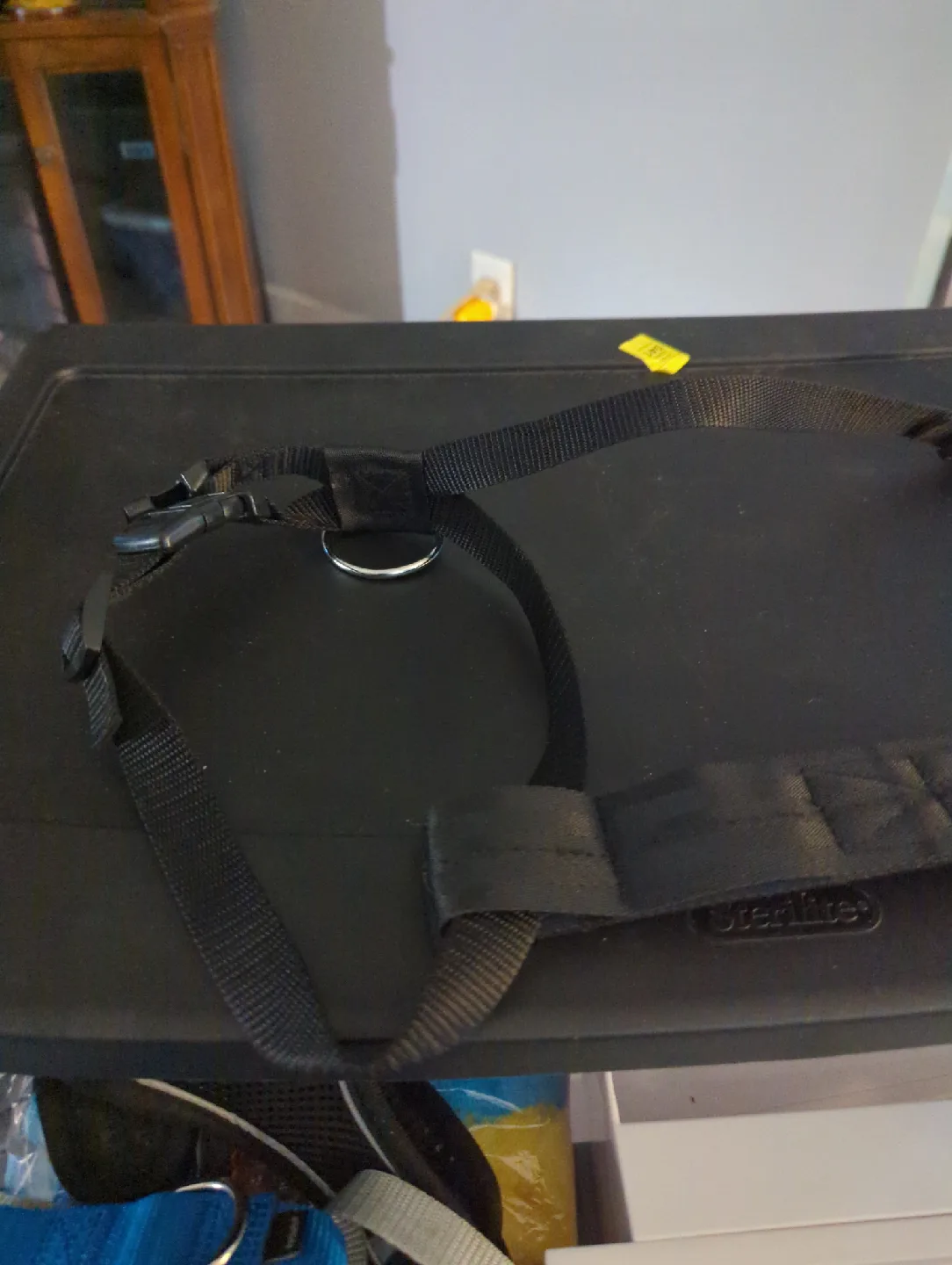 Black Dog Harness large thumbnail