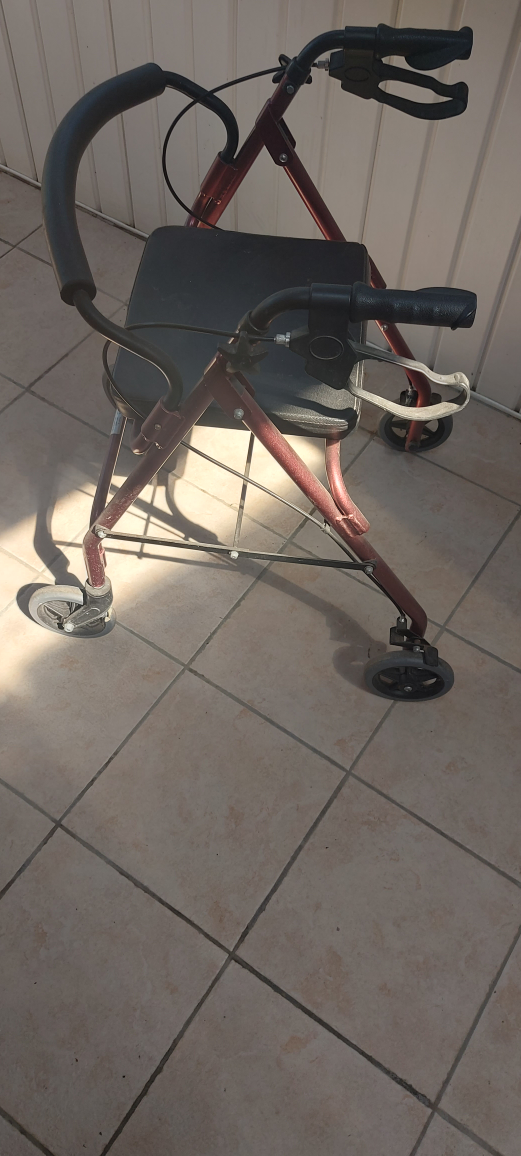 Used Burgundy Walker with Seat