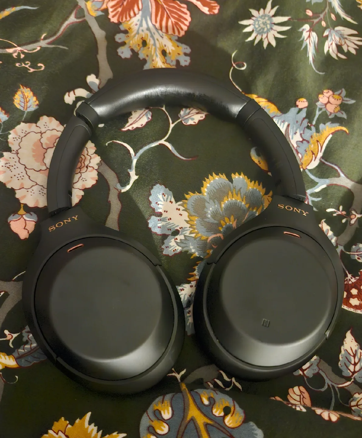 Sony WH-1000XM4 Wireless Noise Canceling Headphones 🥕