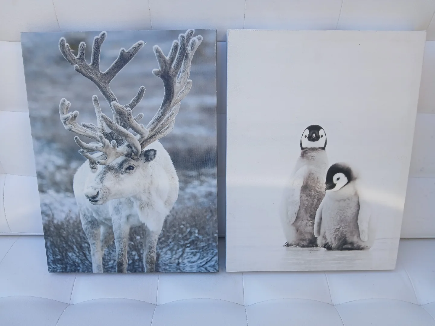 Canvas Prints - Reindeer & Penguins thumbnail