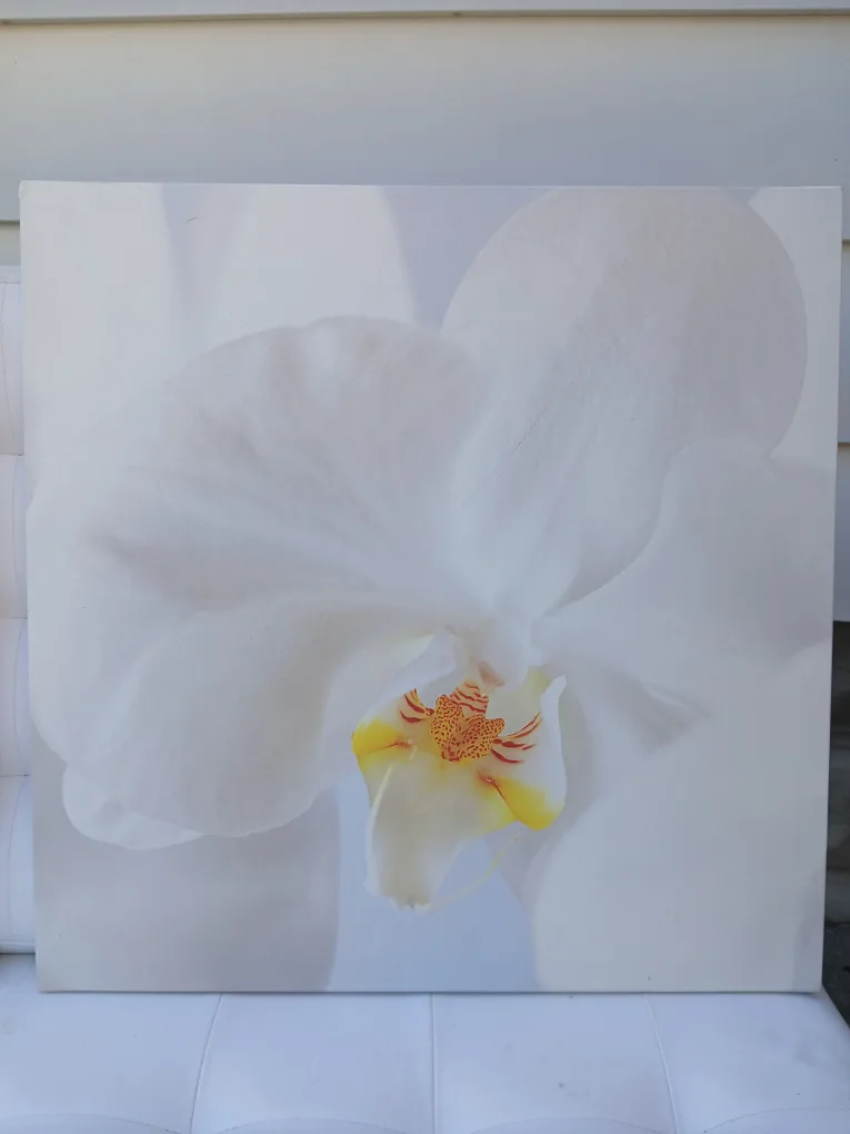 Orchid Canvas Print Wall Art - Set of 3 image indicator(2)