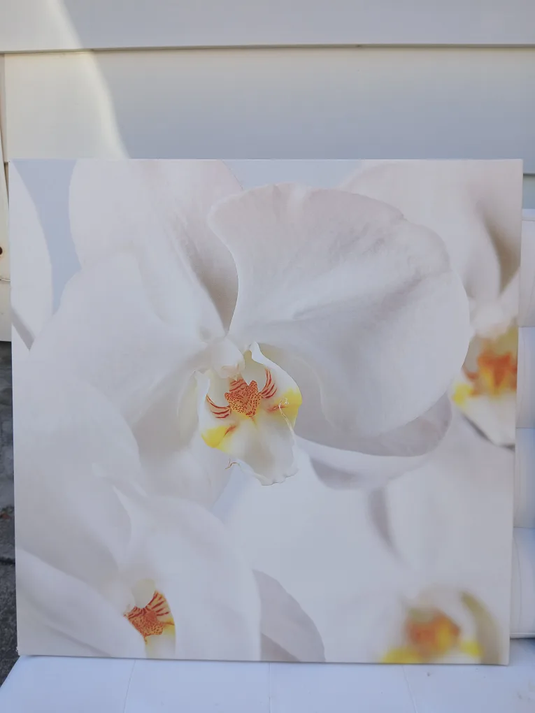 Orchid Canvas Print Wall Art - Set of 3 image indicator(3)