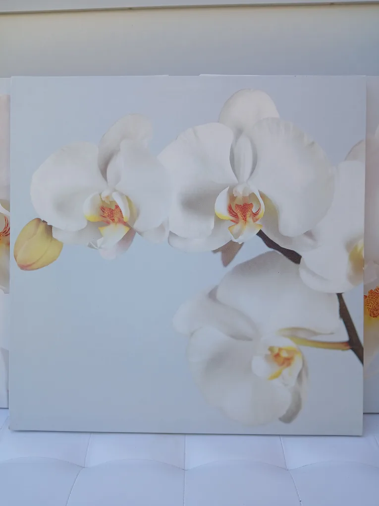 Orchid Canvas Print Wall Art - Set of 3 image indicator(4)