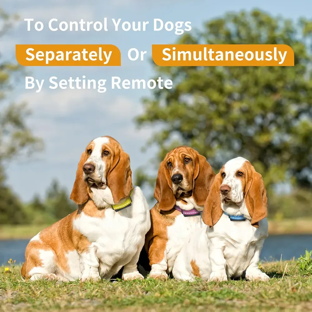 PetLoX Dog Training Collar with Remote image indicator(2)