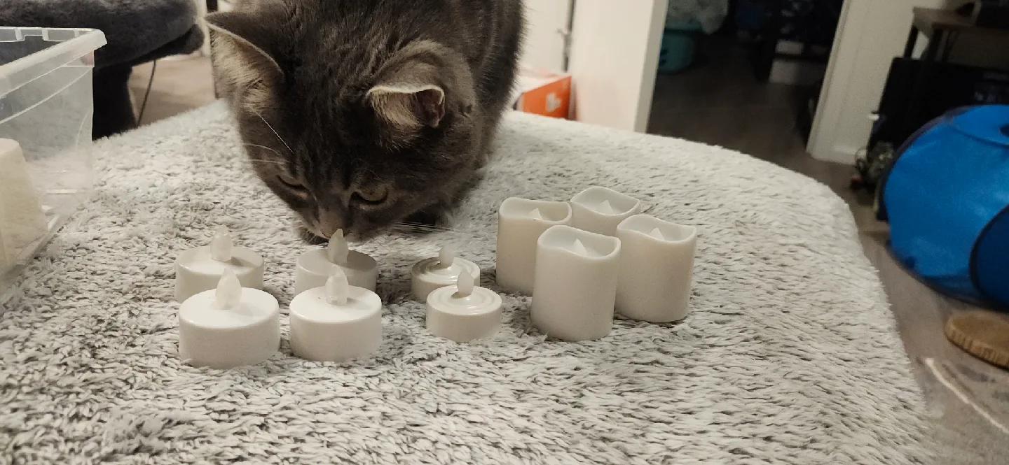 Flameless T-light and small pillar candles. (16 count) image indicator(3)