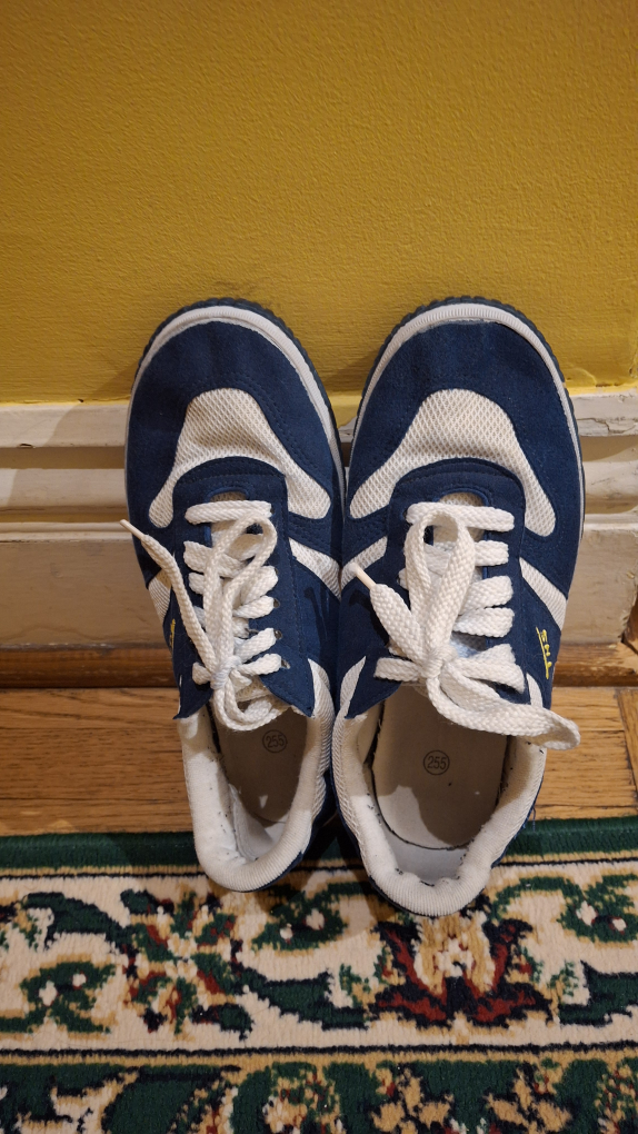 THS Blue & White Sneakers - Size 255