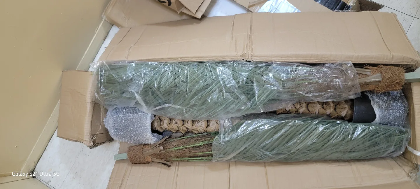 palma artificial image indicator(4)