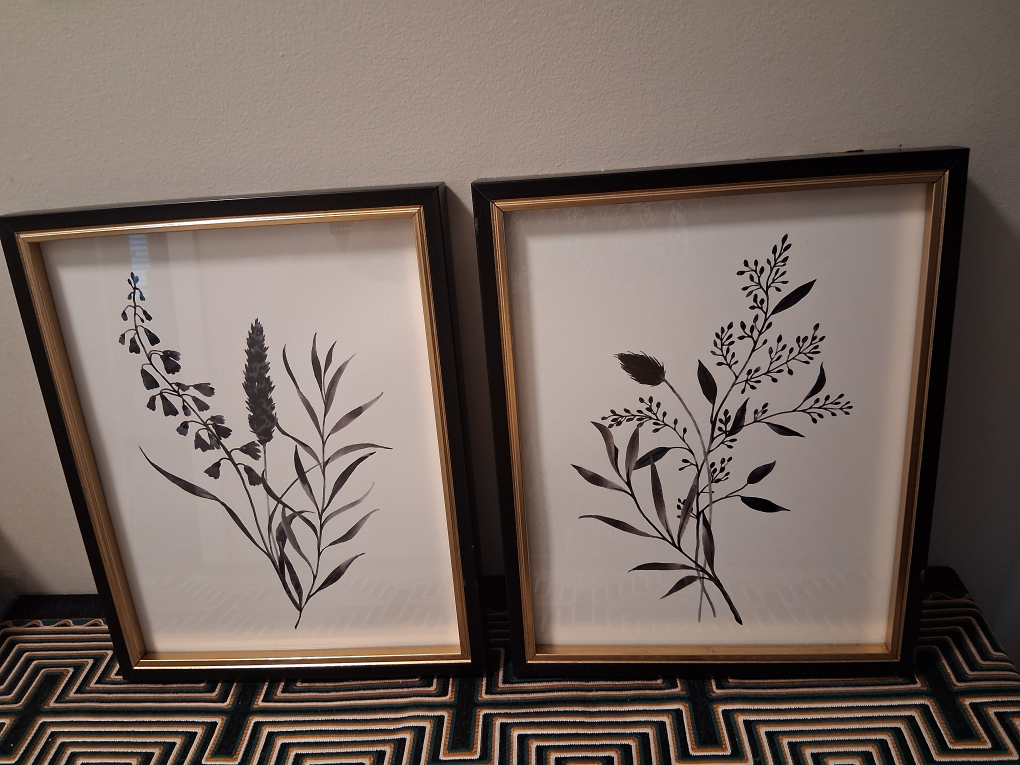 Framed Botanical Prints - Set of 2