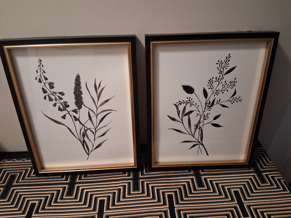 Framed Botanical Prints - Set of 2 - photo 2