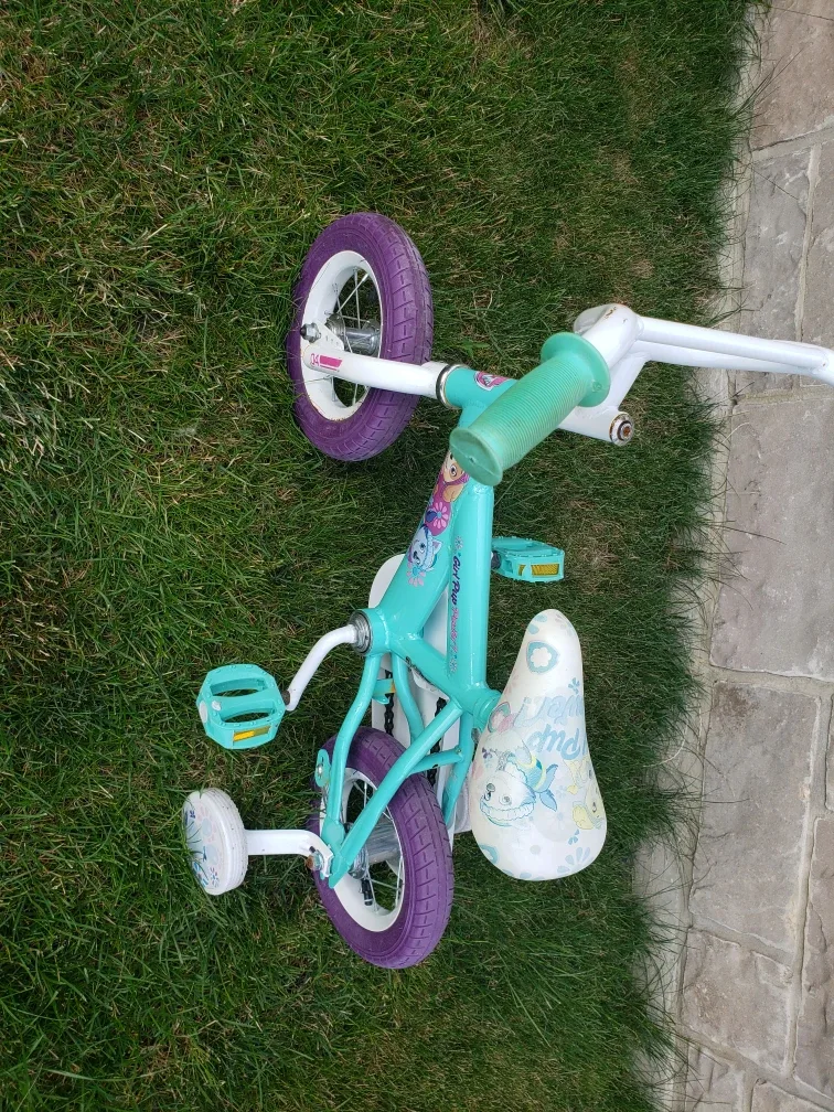 Paw Patrol Girl Pup 12-inch Bike image indicator(4)