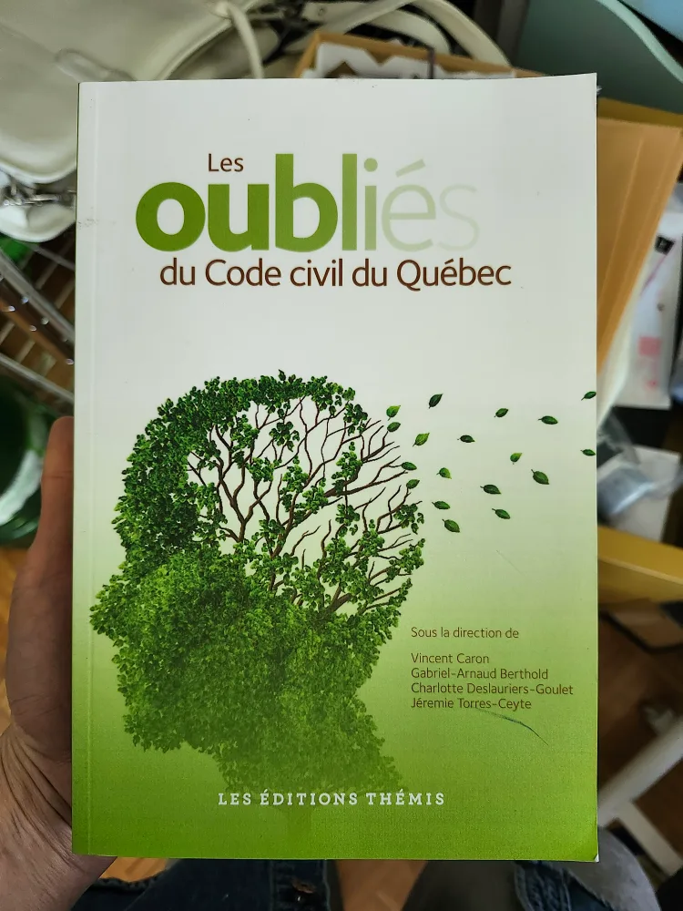 Les oubliés du Code civil du Québec thumbnail