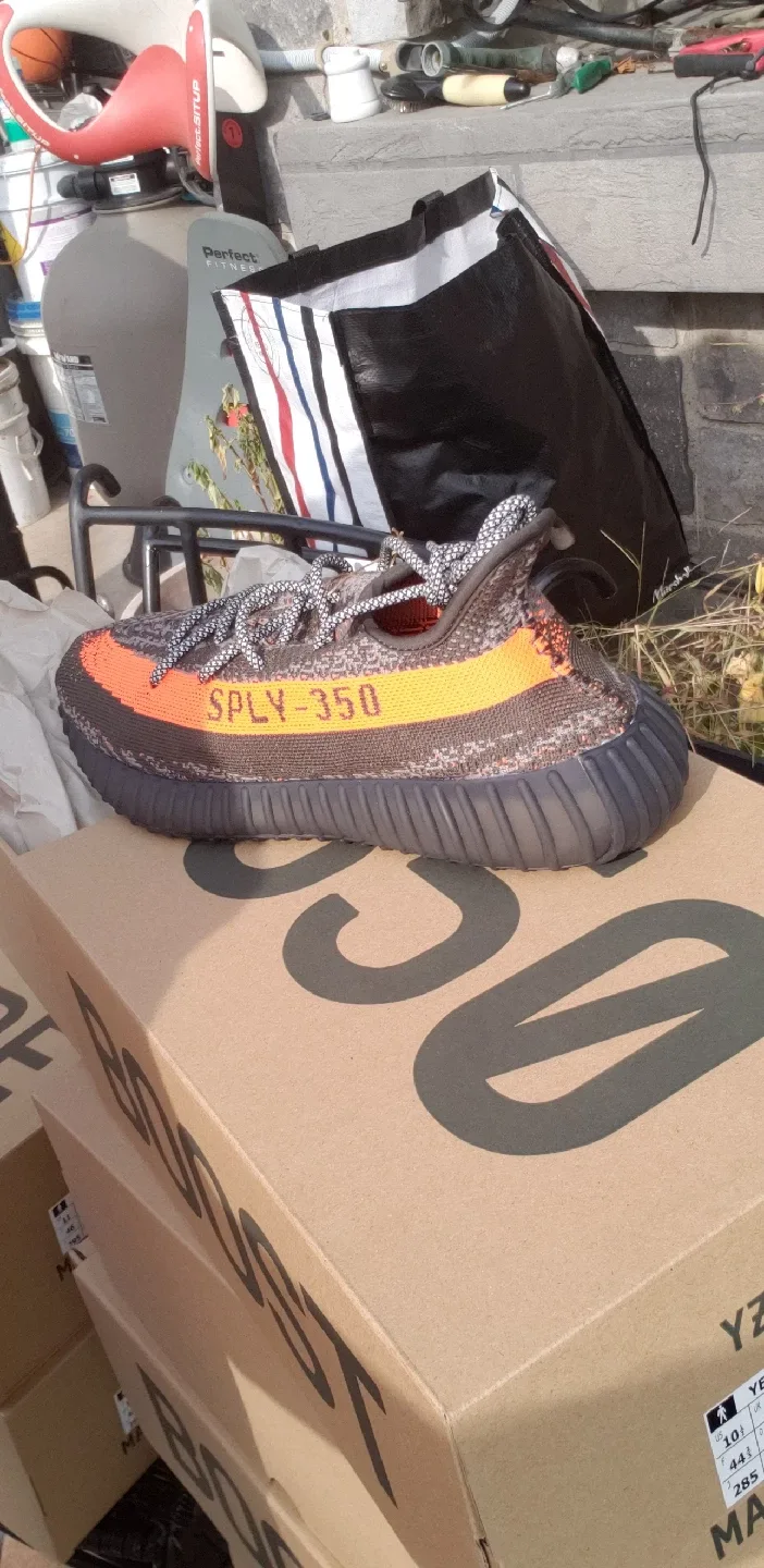 YEEZY LOT - (4 pairs) Sz.11 & (3 pairs) Sz. 10.5 image indicator(7)