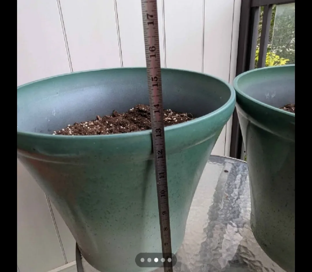 Two Round Planter Pots - 13x15 inches image indicator(2)