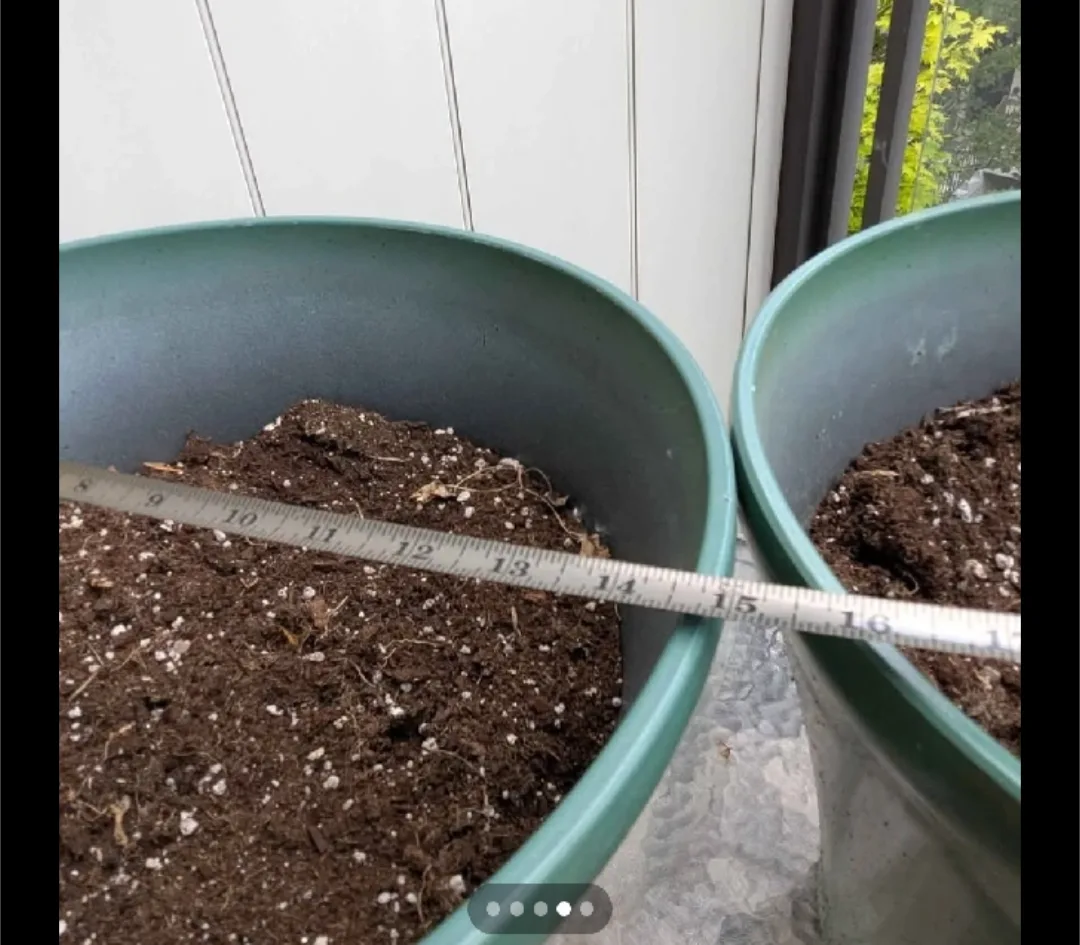 Two Round Planter Pots - 13x15 inches image indicator(3)