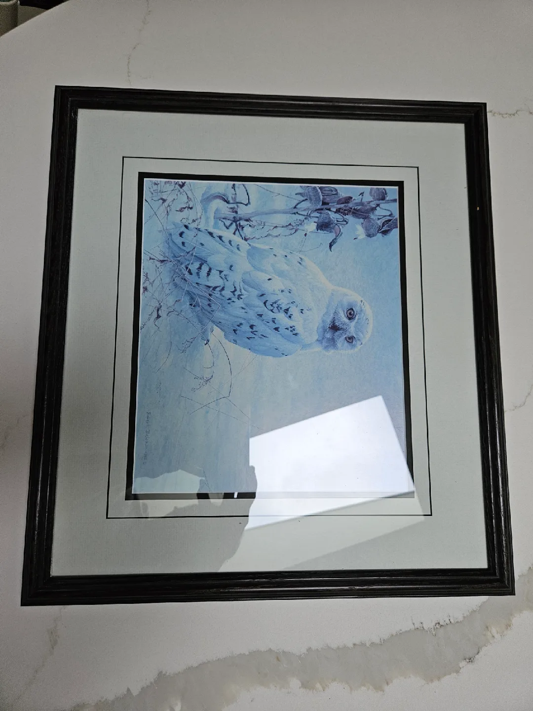 Robert Bateman 'Arctic Majesty' Framed Print image indicator(3)