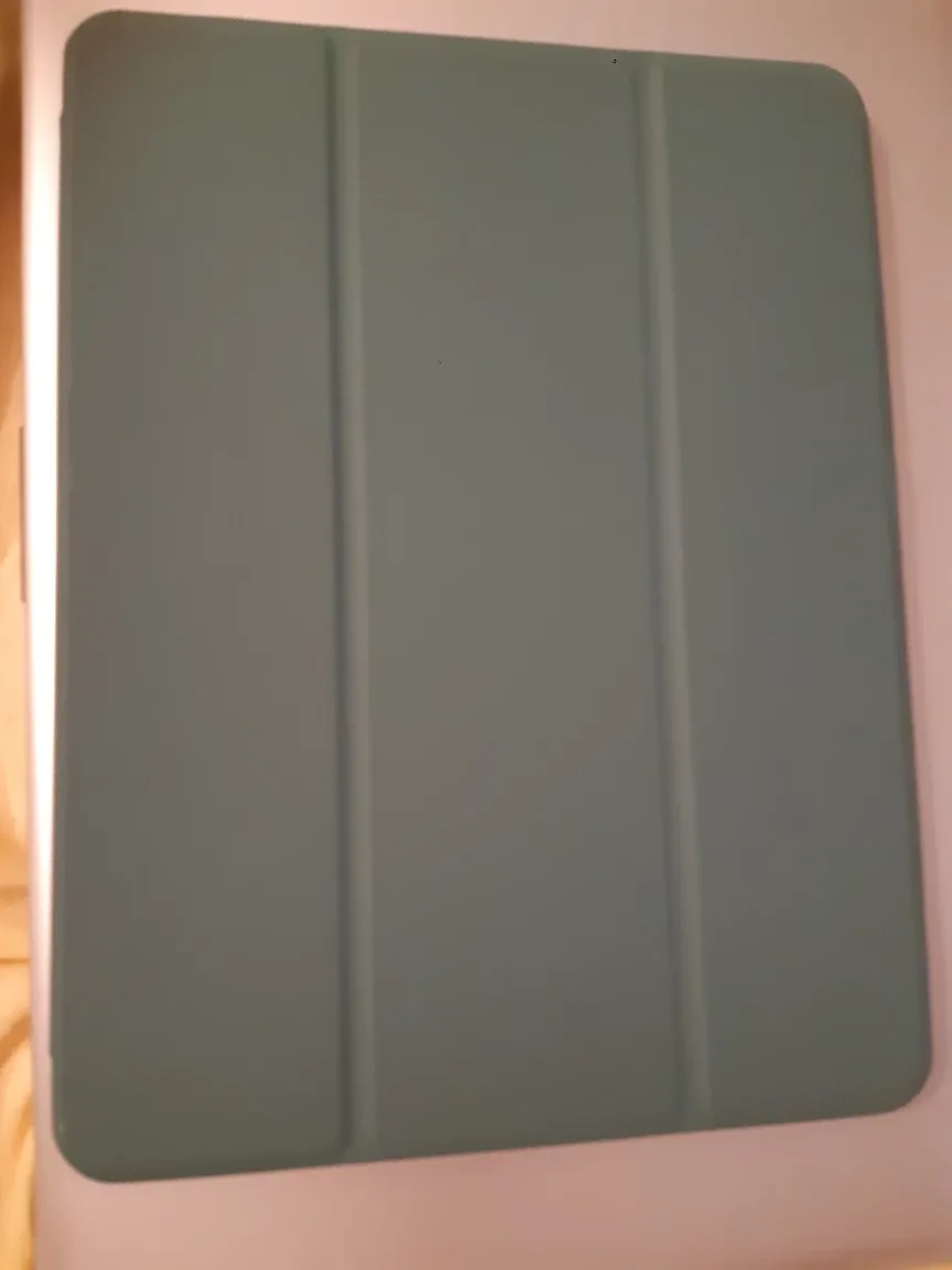iPad Case - Green thumbnail